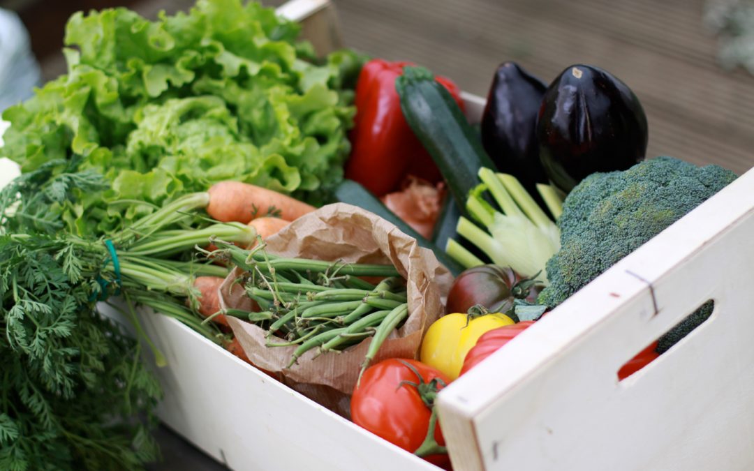 Les bases de l’alimentation saine